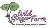Wild Ginger Farm
